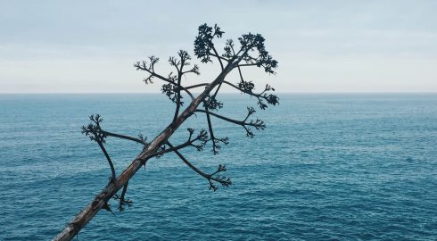 Nature as it is in the photo