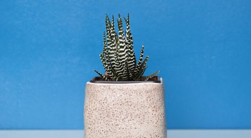 Selection of scenery for photos