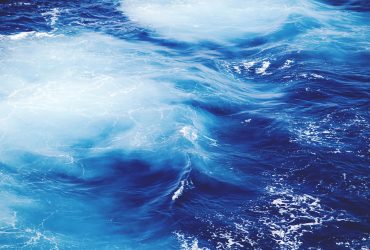 Sea Surf and inhabitants